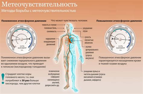 Воздействие атмосферного давления на физиологию человеческого тела