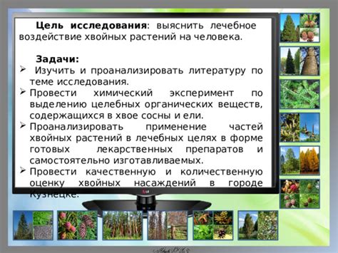 Воздействие препаратов против растений-конкурентов на плодородие земли в личном огороде: проблемные аспекты и их решение