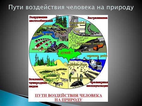 Воздействие травмы на аэрацию синуса: механизмы и влияние