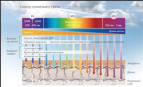 Воздействие ультрафиолетовых лучей на кожу: важность защиты и проблемы от неправильного воздействия