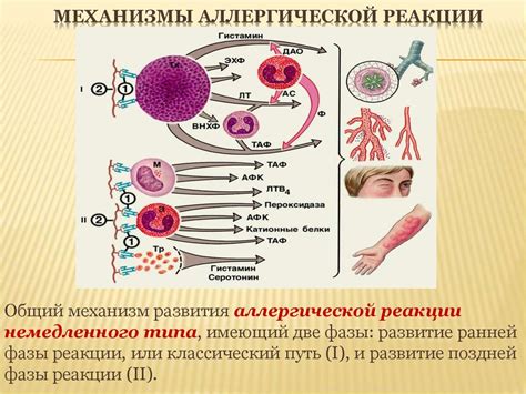 Возможное влияние аллергической реакции на реакцию кожи в области между пальцами стопы