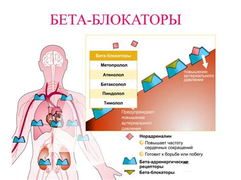 Возможные побочные эффекты и методы их управления