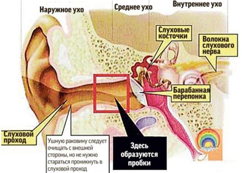 Возможные причины зуда в верхней зоне левого ушного раковины