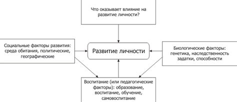 Возраст и опыт вожака: влияющие факторы на статус главной личности в стае