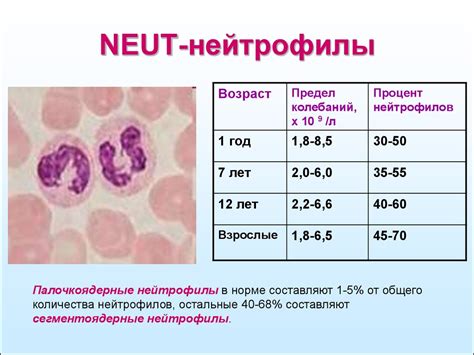 Воспаление и инфекция: причины повышения содержания нейтрофилов