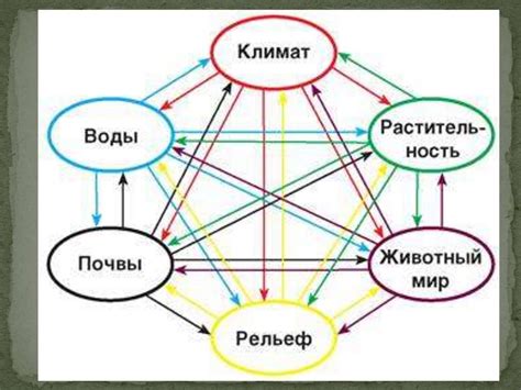 Восстанавливающие свойства природных компонентов