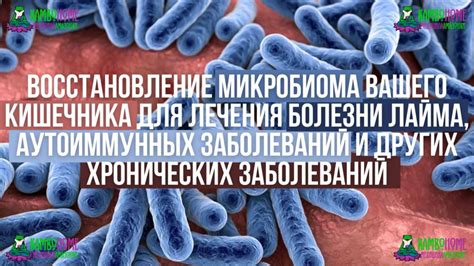 Восстановление микробиома в кишечнике взрослых: эффективные методы и подходы