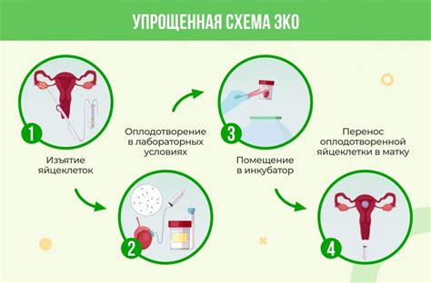 Восстановление цикла после неудачного ЭКО