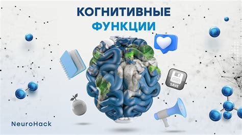 Впечатления участников о процессе восстановления когнитивной функции после негативного воздействия