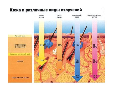 Вред от обильного воздействия солнечных лучей на эпидермис и насущная потребность в избавлении от следов подобной экспозиции
