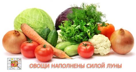 Выбирайте овощи, силой конкурирующие с сорняками