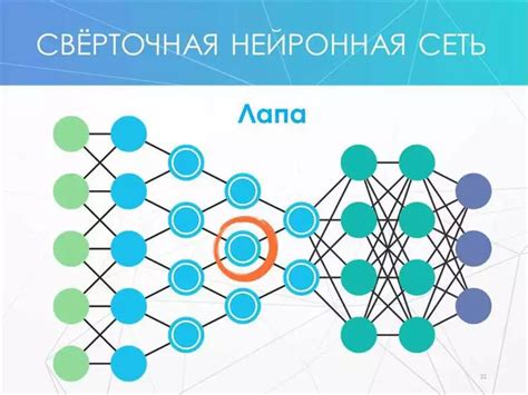 Выбор ПО для работы с нейронными сетями: достоверность и удобство