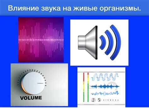 Выбор и приобретение подходящего устройства для регулировки низких частот в музыкальной системе