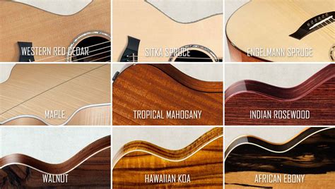 Выбор материала для корпуса гитары: найди идеальный звук в природе