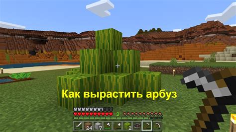 Выбор местоположения для размещения сверкающего древа в Minecraft