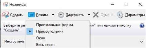 Выбор нужных параметров и настроек для создания длинного снимка экрана