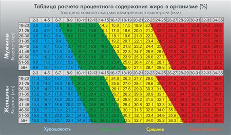 Выбор оптимального веса гирь: точность и эффективность тренировки