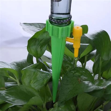 Выбор оптимальной системы капельного орошения для воздушных растений