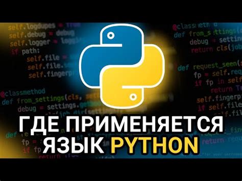 Выбор платформы разработки и преимущества применения Python