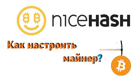 Выбор пула и кошелька при настройке майнера NiceHash: важное решение для новичков