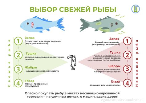 Выбор свежей и качественной горбуши: секреты определения свежести