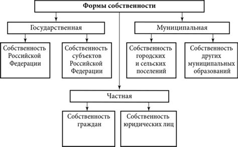 Выбор формы собственности и регистрация