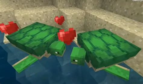 Выращивание поколения черепах в игре Minecraft