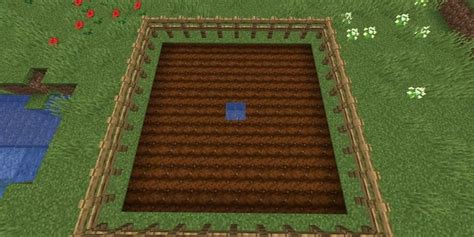 Выращивание тюльпанов в Minecraft: уникальное руководство