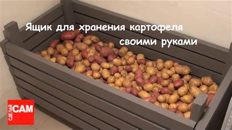 Гастрономическое изумление: продуманное процесс приготовления картофеля в емкости