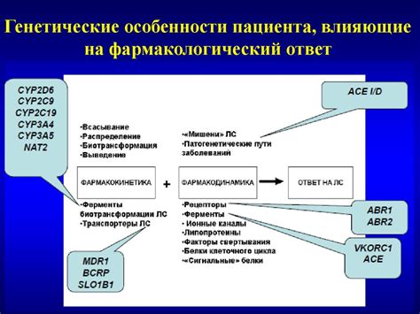 Генетические факторы, влияющие на возникновение выступления на шее в мужчинах различного возраста