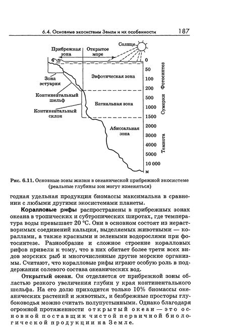 Геологическая структура прибрежной зоны: основные черты и свойства