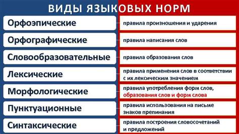 Гибкость грамматических правил: исключения и адаптация к особенностям языка