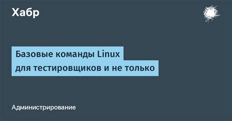 Главные команды и функциональные возможности Linux для повседневного применения