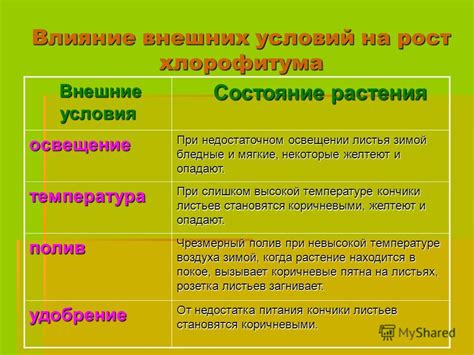 Глобальные тренды и воздействие внешних факторов на экономическое развитие России