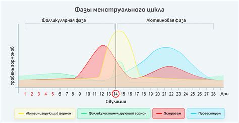 Гормональные сбои и неустойчивость месячного цикла