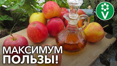 Гриб из яблочного уксуса в кулинарии