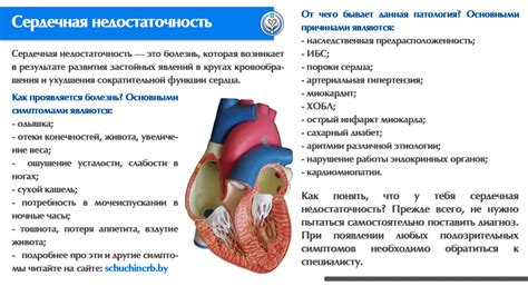 Диагностика наличия свободной жидкости в полости сердечной оболочки: методы исследования