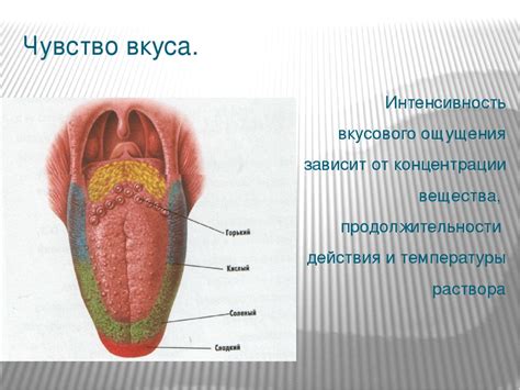 Диагностика отсутствия вкусовых ощущений