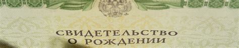 Документы, подтверждающие родство между Милагрос и Федерико