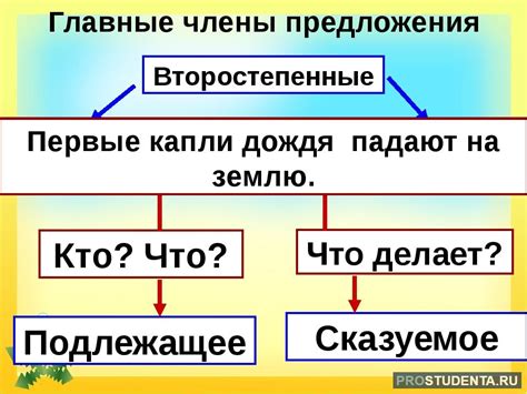 Дополнительные предложения по сервису и их стоимость