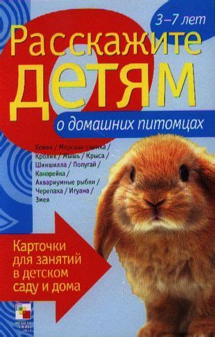 Животные: Расскажите о своих домашних питомцах и узнайте о ее