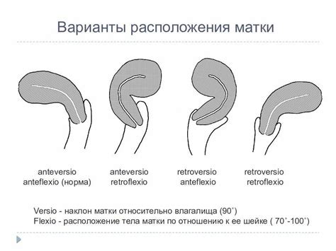 Загиб хвоста вниз: суть положения и его трактовка