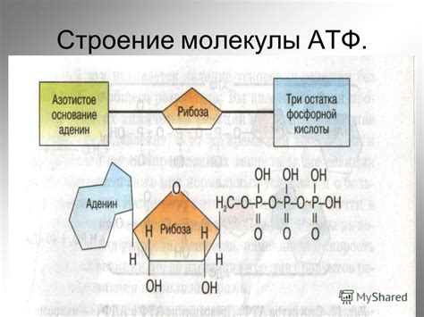 Задачи и цели АТФ Банка: взгляд изнутри