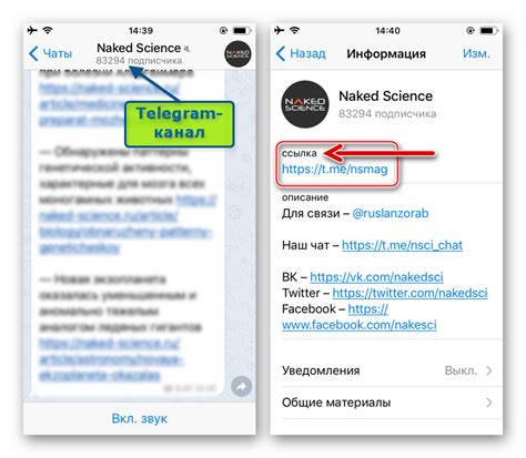 Зачем нужна прямая ссылка в мессенджере Telegram и как она работает