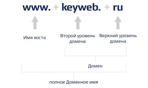 Зачем нужно доменное имя и как оно играет важную роль в интернете