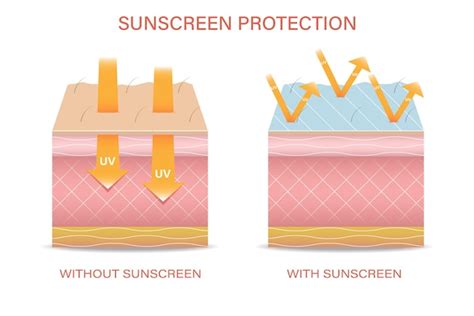 Защита кожи от вредного воздействия ультрафиолетового излучения