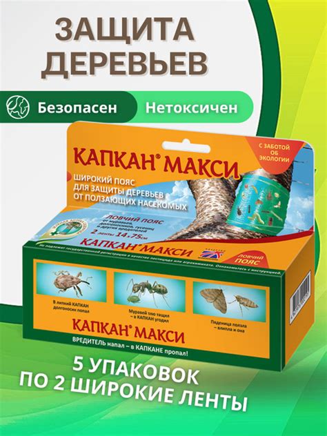 Защита хризантем от вредителей и насекомых в садовых участках на Урале