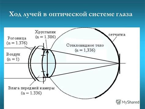 Защитная функция визуального пробела в глазе: суть и значение