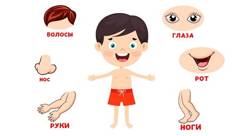 Здоровое и эластичное тело для детей: как предотвратить несовершенство кожи