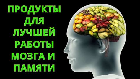 Здоровое питание для укрепления мозга: сделайте его главной заботой